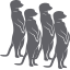 Logotipo de Dayvo